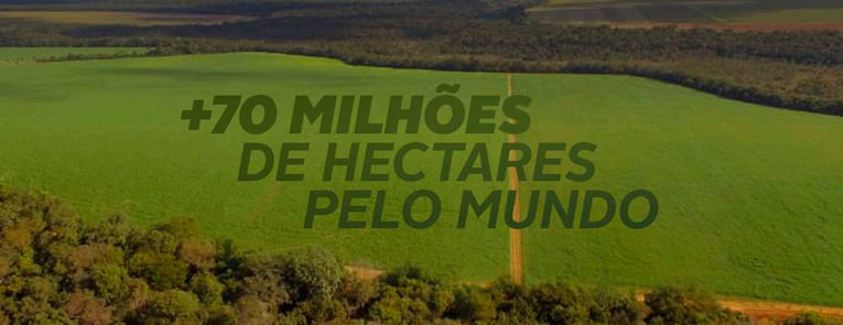 Institucional - Fale Conosco - Imagem